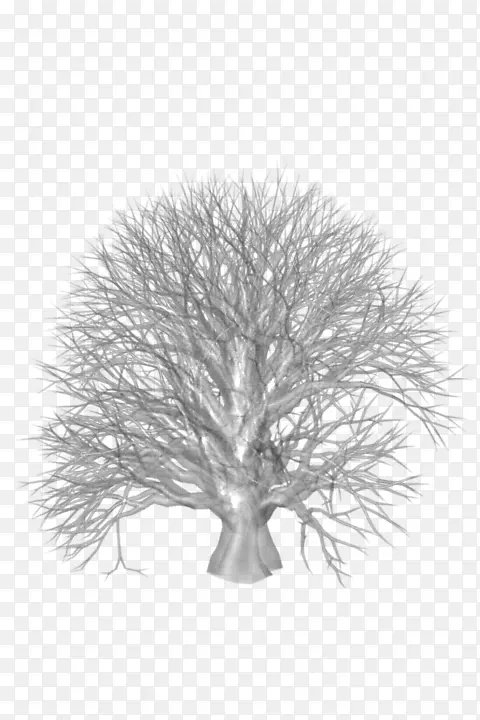 ����-��-������