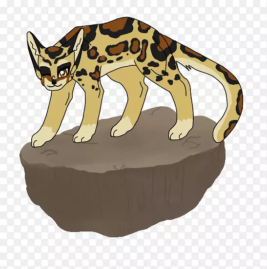 �����è���Ӽ�����è-������