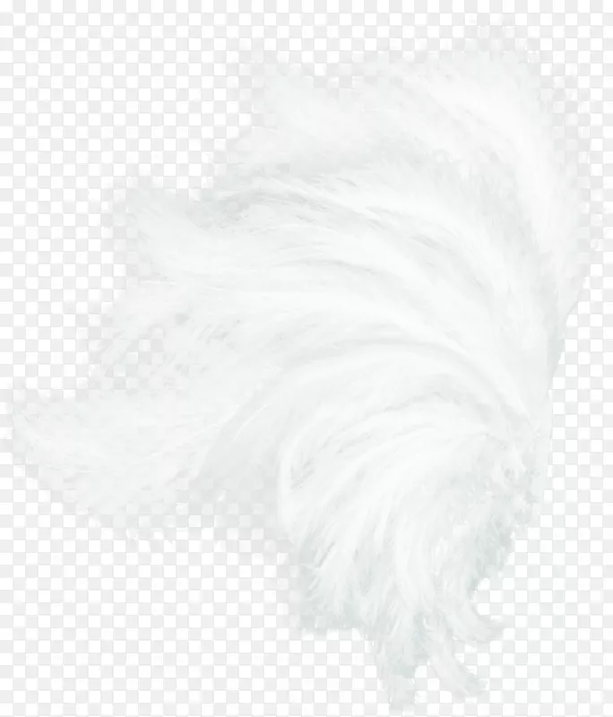 ��ɫ��ë��ɫͼ��-��ɫ���-������