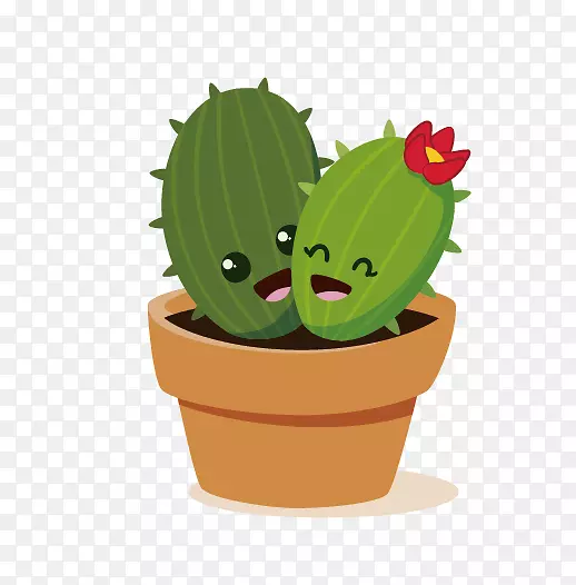 �����ƿ�ʮ��������ֲ��-������-������