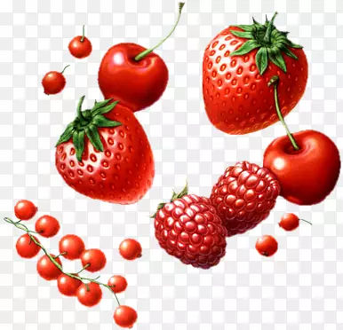 ��ݮʳƷ���Ϲ�ʵ-������