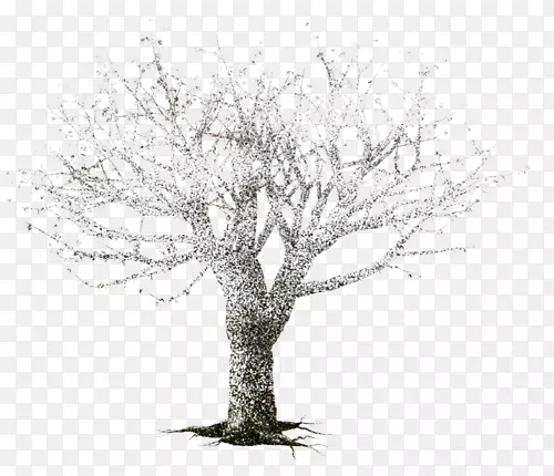 ��֦-��-������