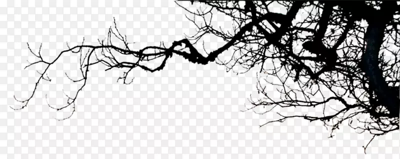 ���Ӿ��۱�ֽ-��֦����-������