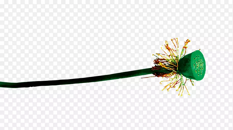 ���Ա�ֽ�;�-��ԡ-������