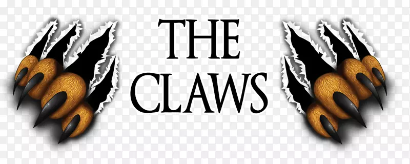 �˶�����è�͹��ı�־t������װ��.t��-������