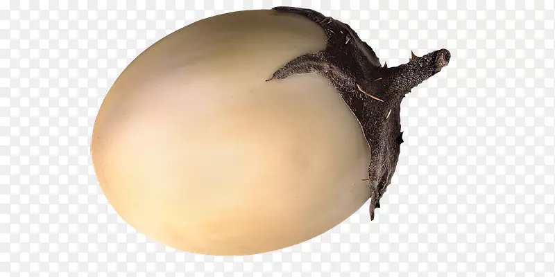 ˮ������-Verdura-������