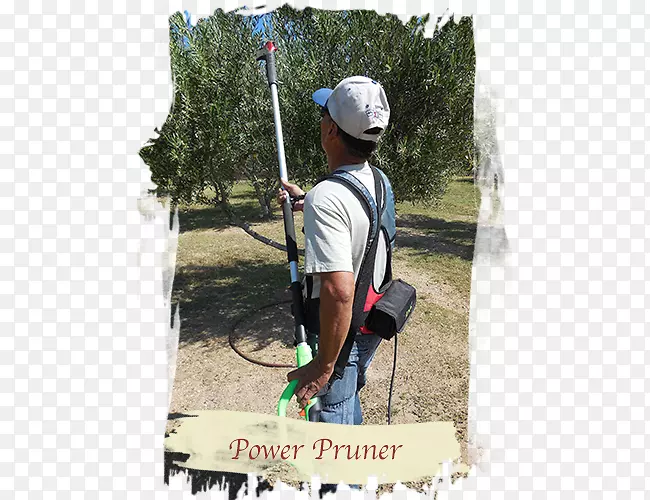 ��������ð����������-������