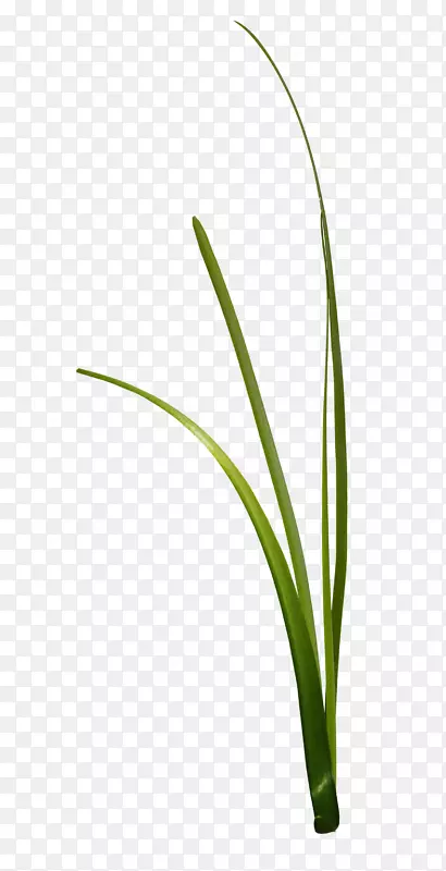 ����-��ͨ��-������