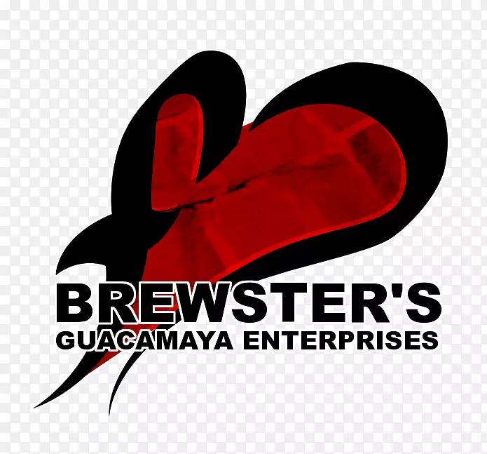 �̱�����-����-������