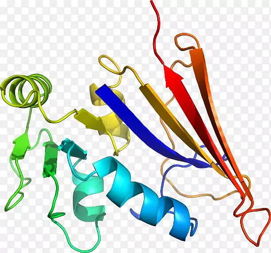 �����鱦������.���-������