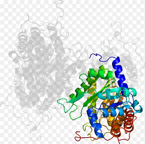 ���߼�����-��-������