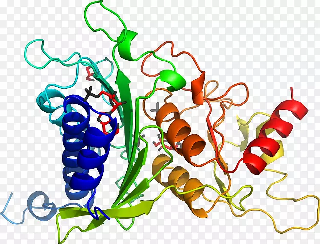 �߲��л���ϵ�м�����-�߲�-������