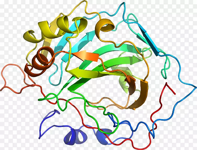 �ߵ������������-������