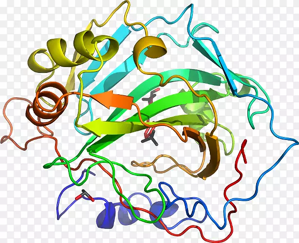 �ߵ������������-������