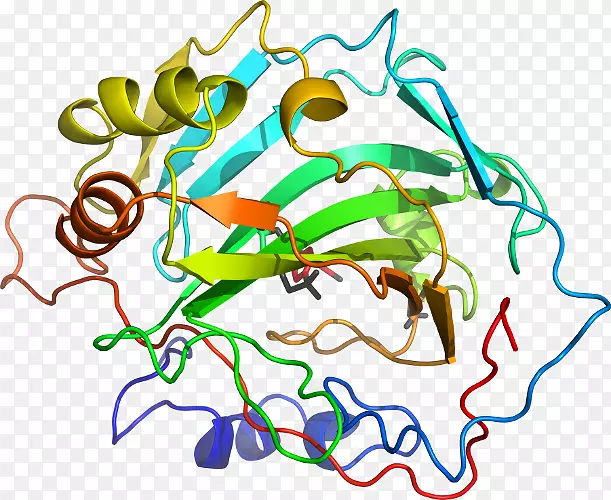 ֱ�ߵ�Ҷ��������-������