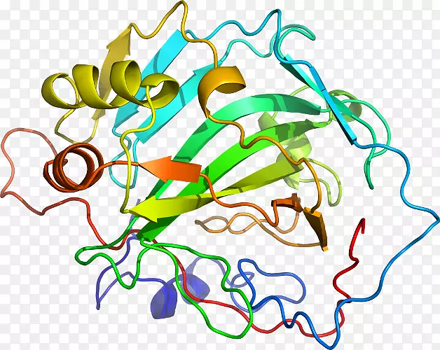 Ҷ�ߵ������-Ҷ-������