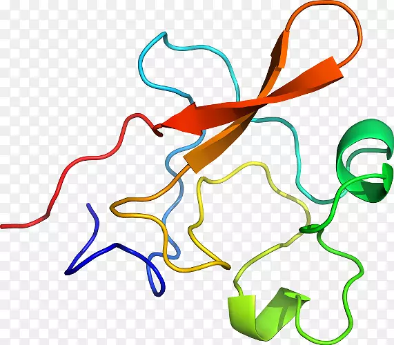 �ߵ������-��-������