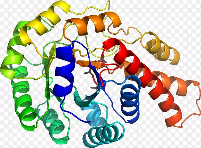 ���������л����߼�������-������