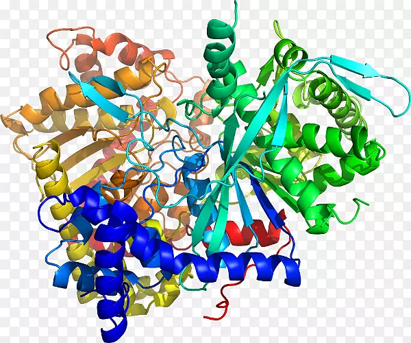 ʳ���鱦���߼�����-��-������