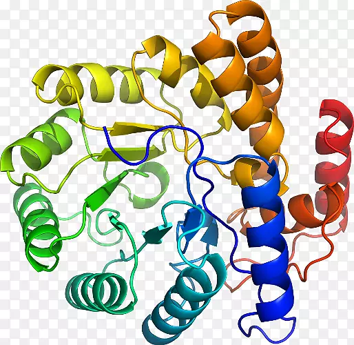 �����߶����������-������