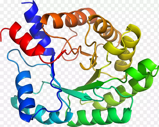 �����߶����������-������