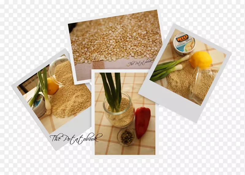 ��ϵ����-����-������