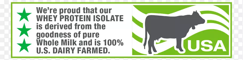 �̱����Դ����-ר������-������