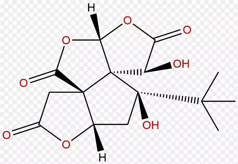 �����ε�-������-������