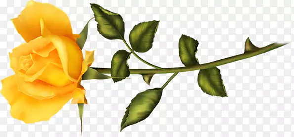 �ռ�����LiveInternet chomikuj.pl����-��-������