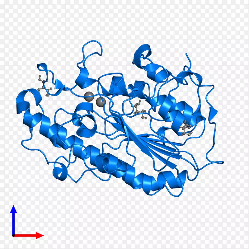 �ߵ������-��-������