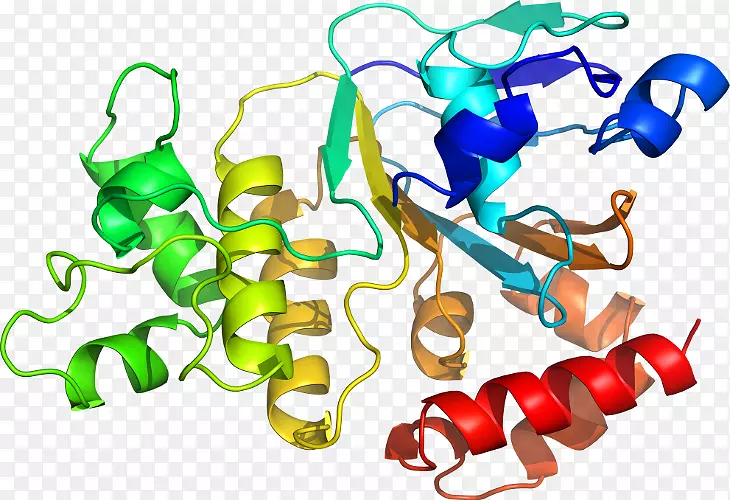 �����߶����������-������