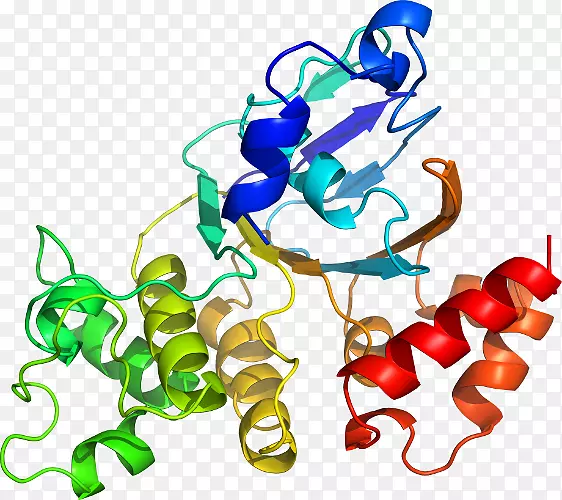 �����߶����������-������