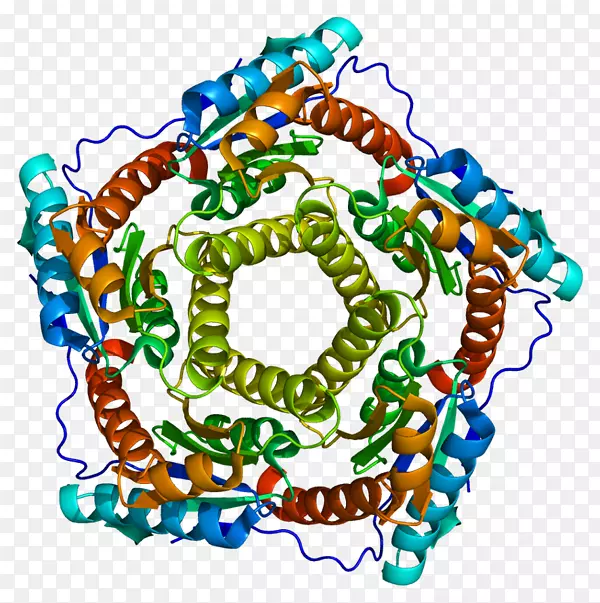 ���������鱦�л����߼�������-������