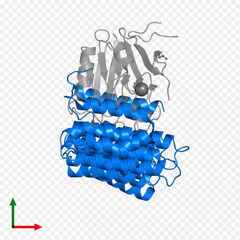 �����������-������