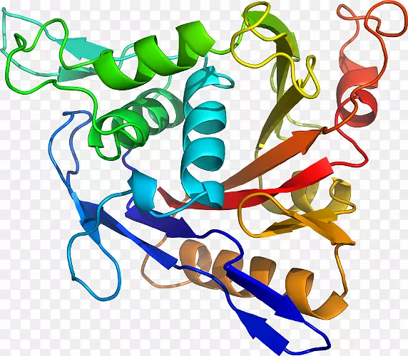 �ߵ��л���-��-������