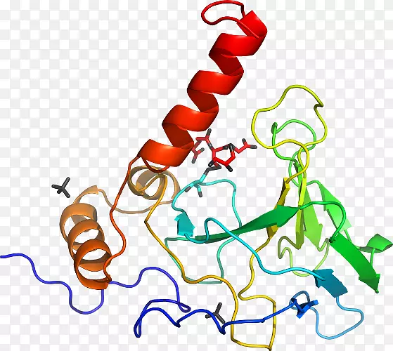 �ߵ������������-������