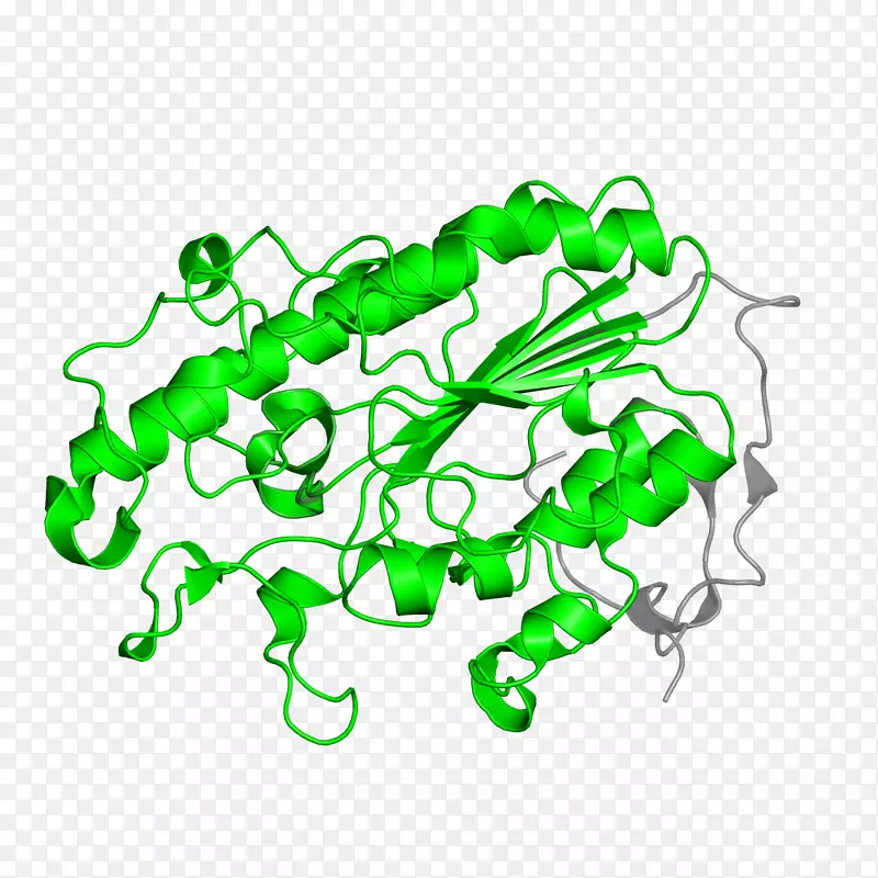 ���߼�����-��-������