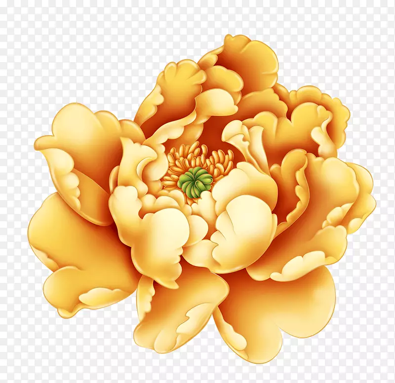 ĵ��������-ĵ��ͼ��-������