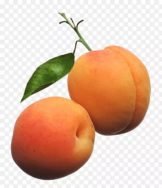 ����ֲ���͹�-������