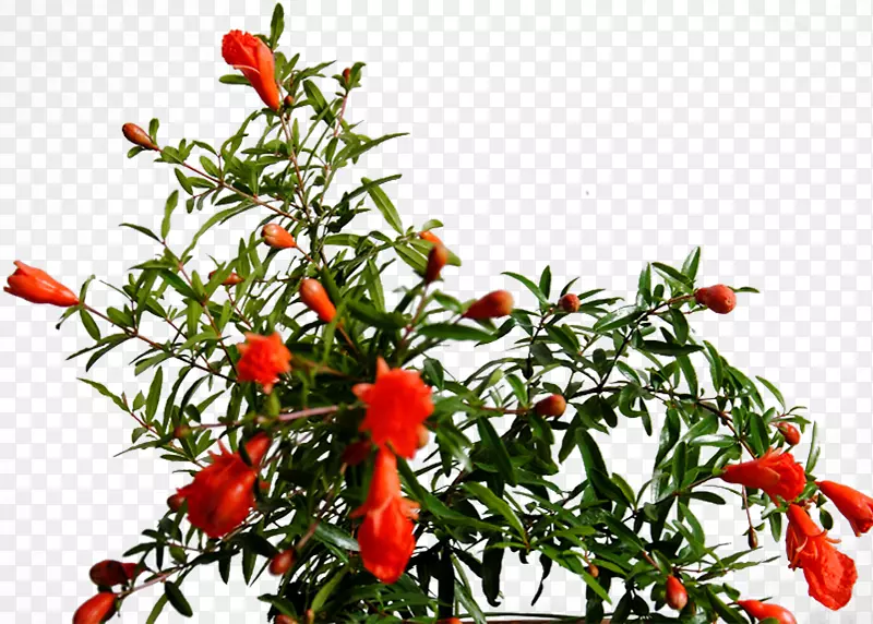 ��������u38u898bu82b1u5349ʯ���辰��������ʯ����ͼ-������