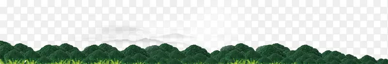 �̽ǲ�-�߲˴���-������