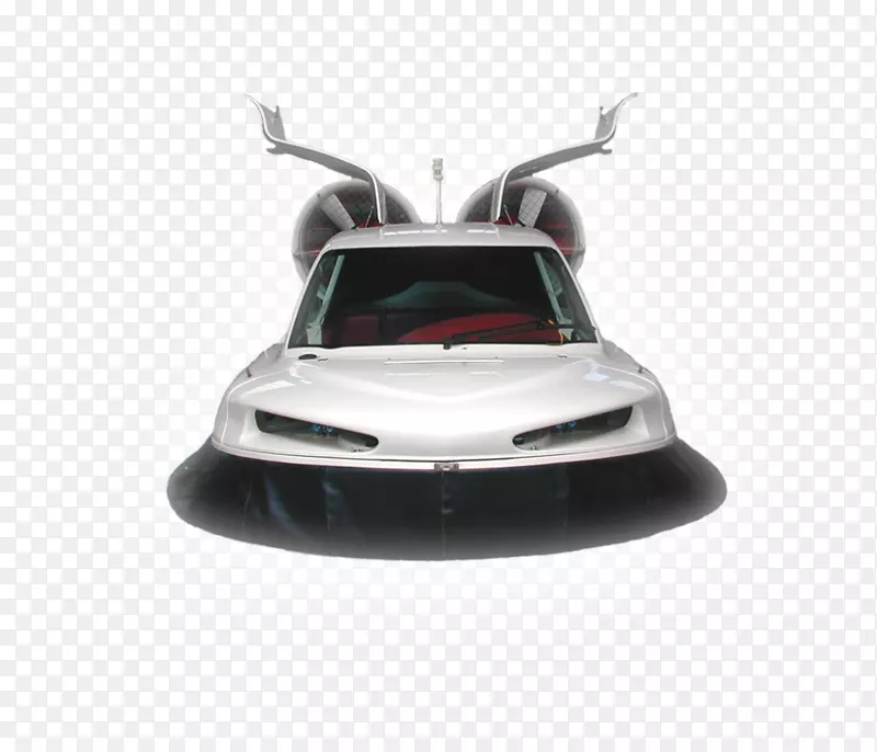 ���ո�08854ֲ��Ⱥ�似��.����-������