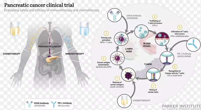 ���ٰ��������ư�֢�о���-������