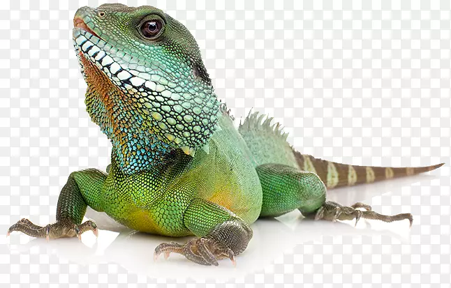 ��ͨ�������ж����Ħ��������ˮ�����ж���-������