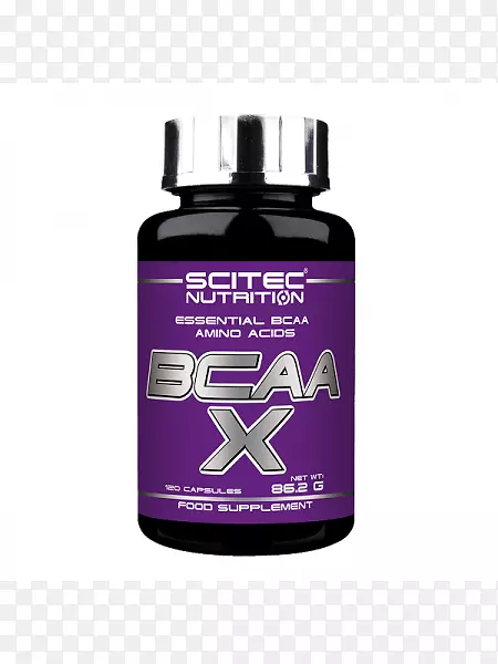 ��ʳ�����.֧��������Ӫ�����������-������