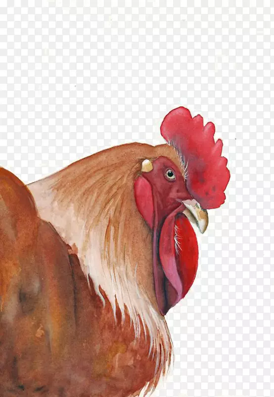 ��ˮ�ʻ���������-������