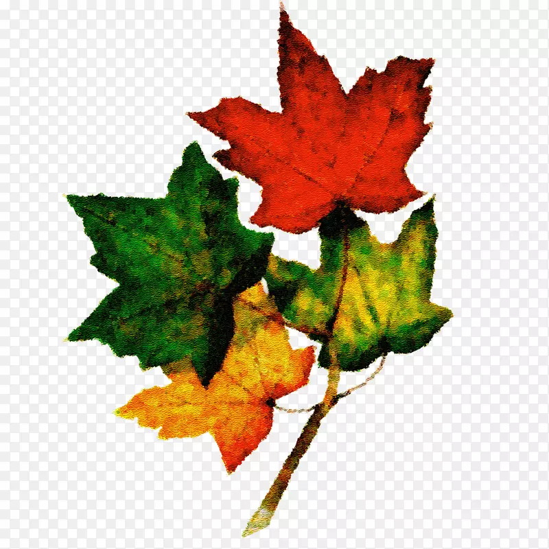 �＾����Ұè�ռ�-����-������