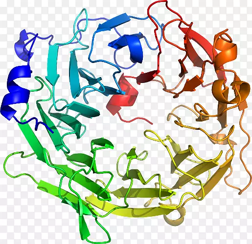 �ߵ������������-������