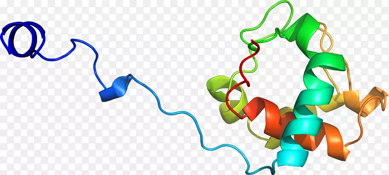 �����鱦������.���-������