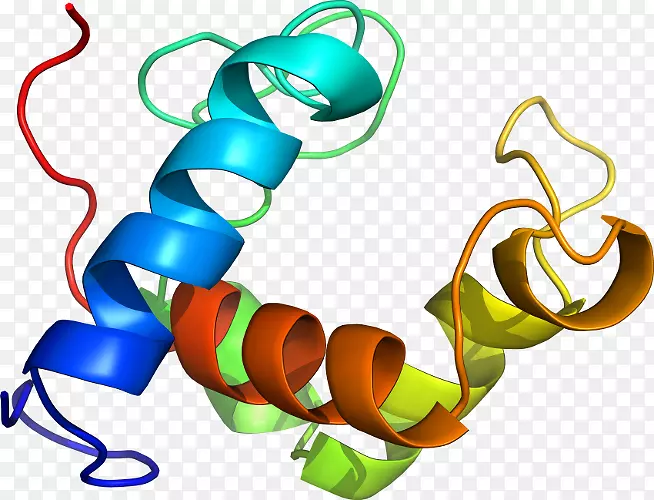 ƽ����Ƽ�����.���-������